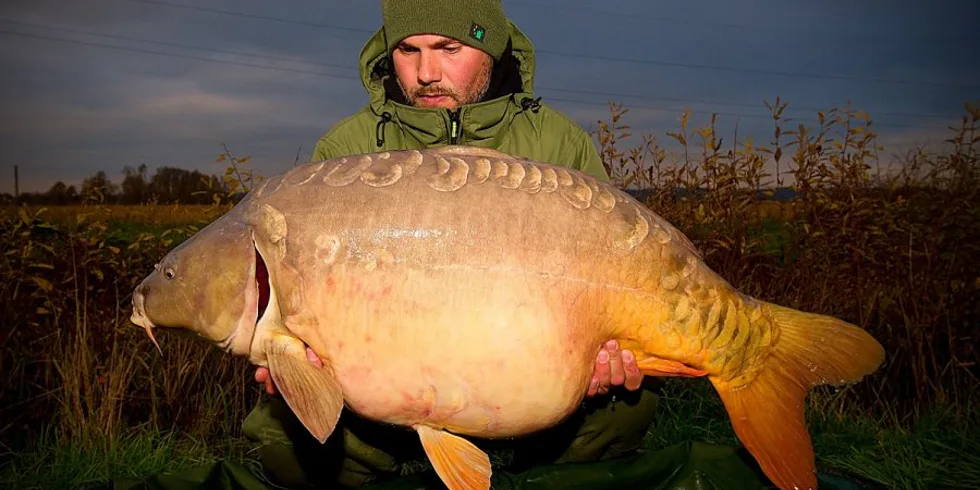 Piercingáč opět v akci