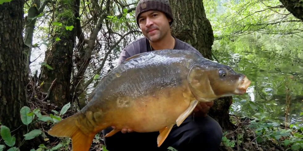 Podzimní ráj s Giganticou - část.1