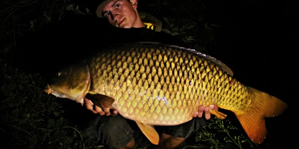 Návrat domov, vol.2