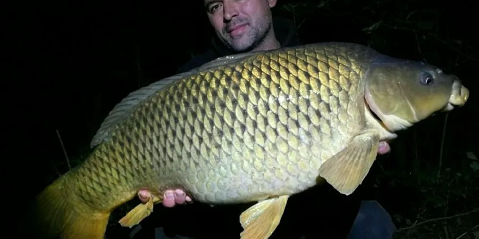 V ráji po boku Giganticy- část.2