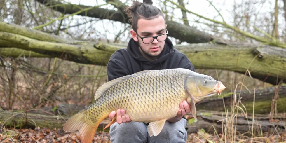 Vánoční prázdniny na Labi