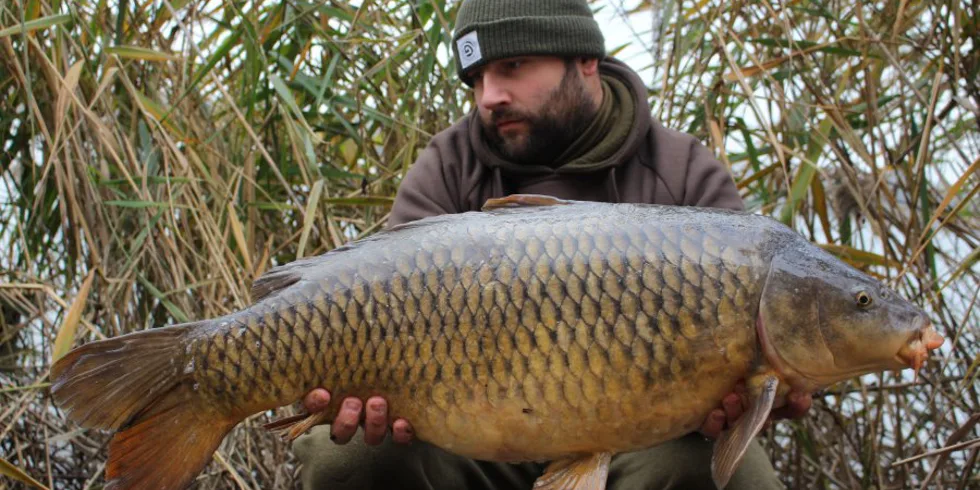 Blížící se konec roku 2017