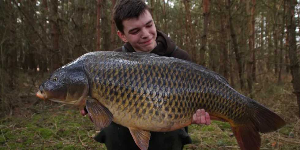 Aktuálně od vody - KrillBerry v akci