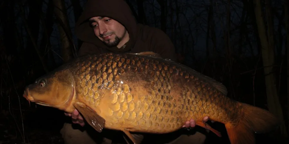 Únor 2018 v podání Tomkyče