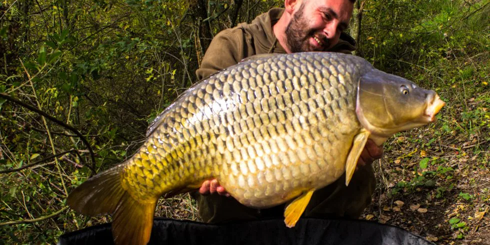 Vytrvalosť prináša svoje ovocie