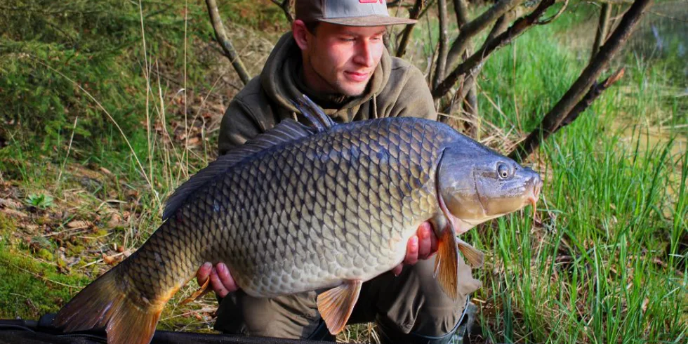 Čarodějnická vycházka