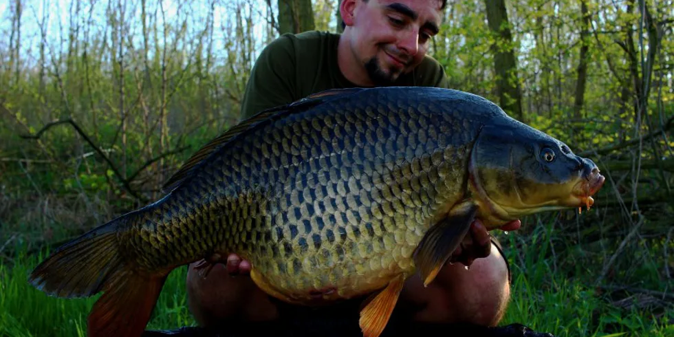 Jednodenní vycházky