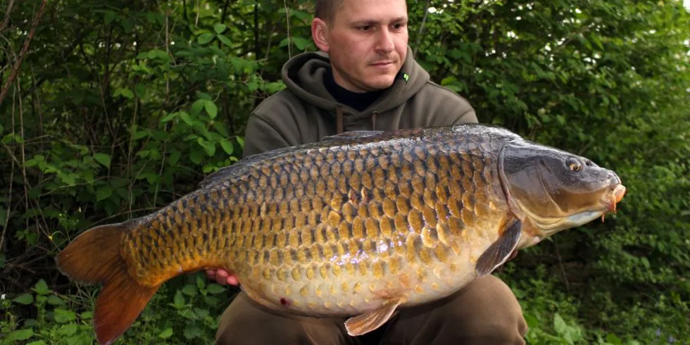 DUBNOVÁ MINIVÝPRAVA