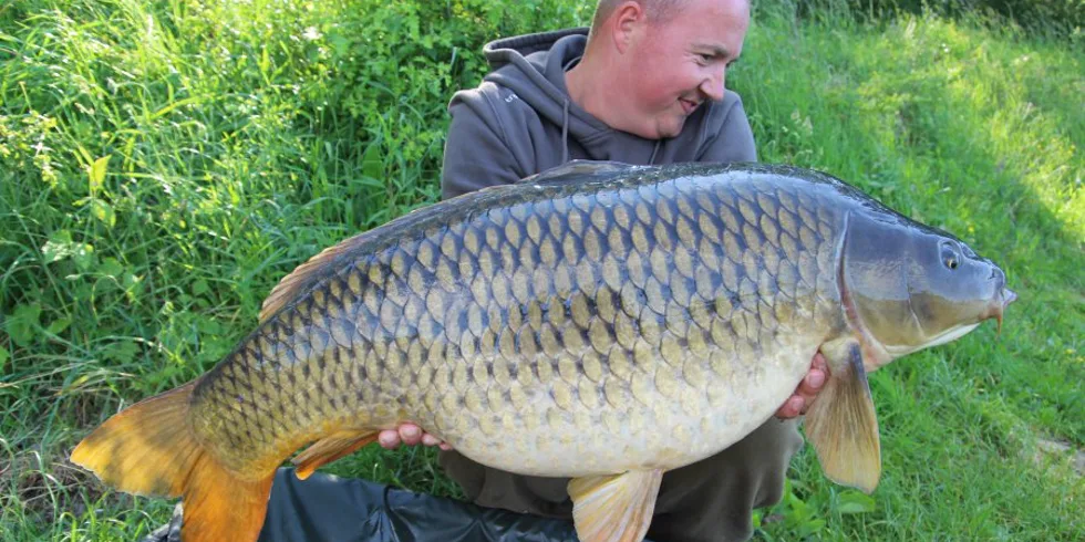 Slovenská raketa v akci