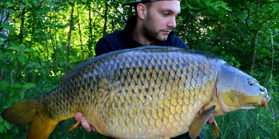 Buchťákův prodloužený víkend