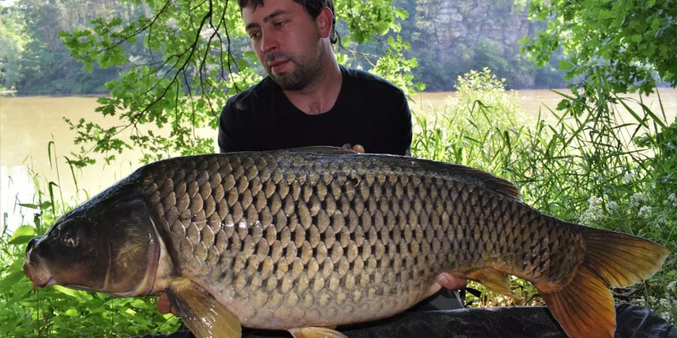 Jedna jízda stačila