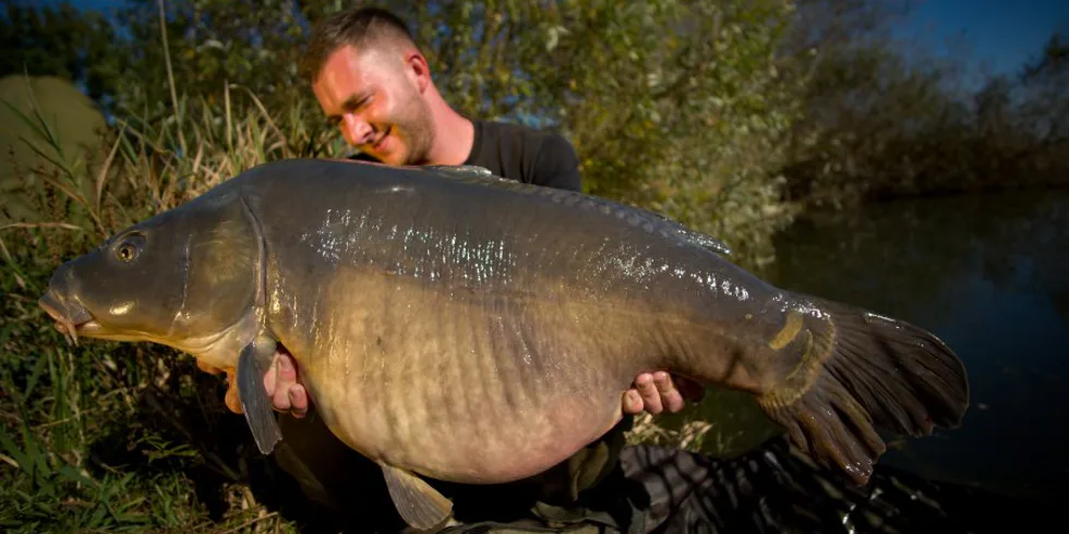 To nejlepší z roku 2017