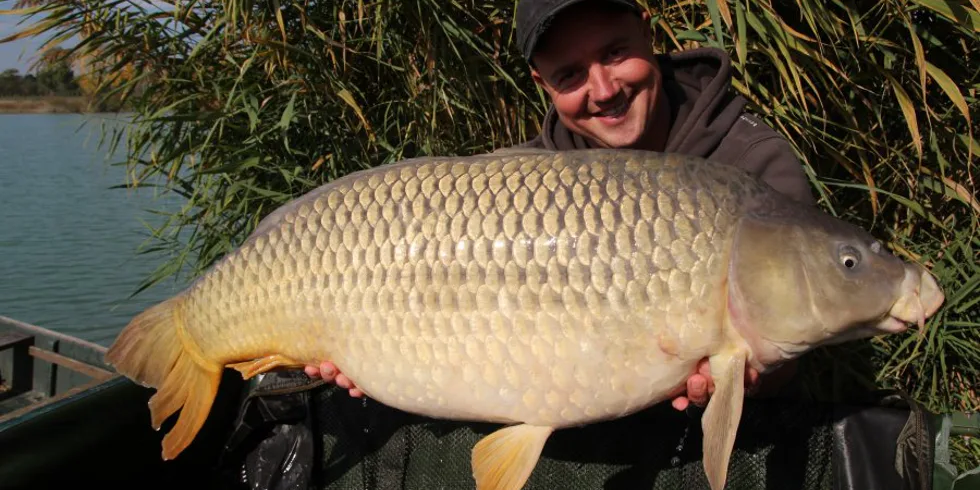 Nezverejnené ryby 2017 časť 2.