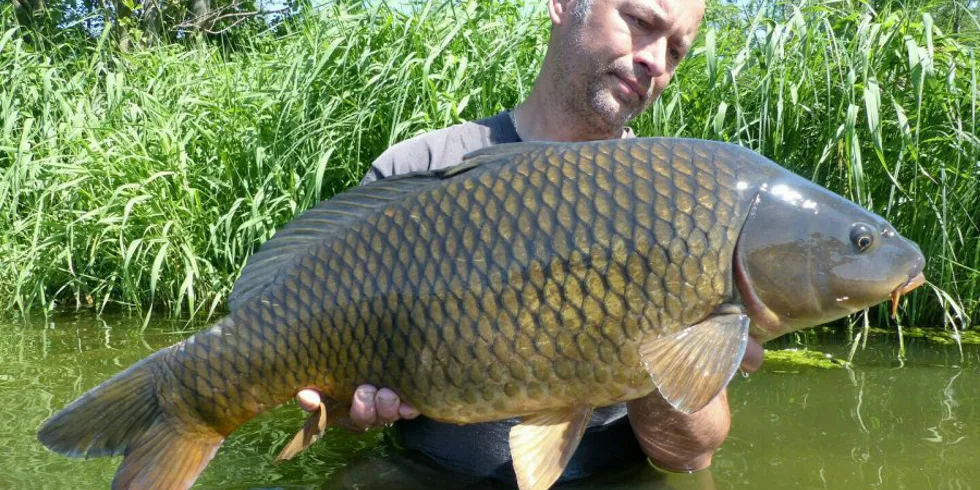 Dlouhán nakonec – část 2