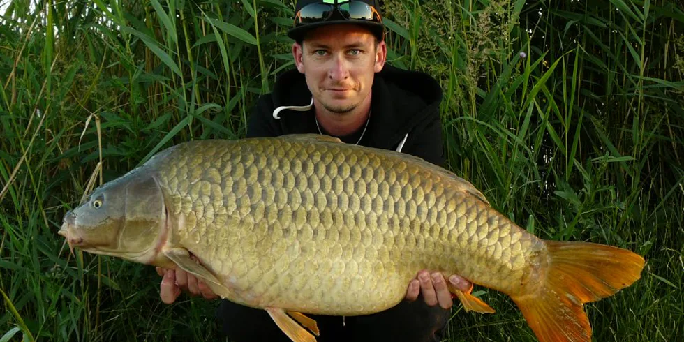 Energie smyslu zbavená