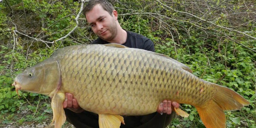 Balkán ve znamení Noční můry