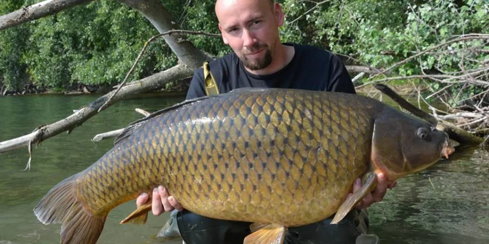2x24mm Gigantica