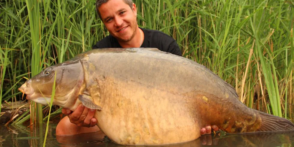 Další letní pupek