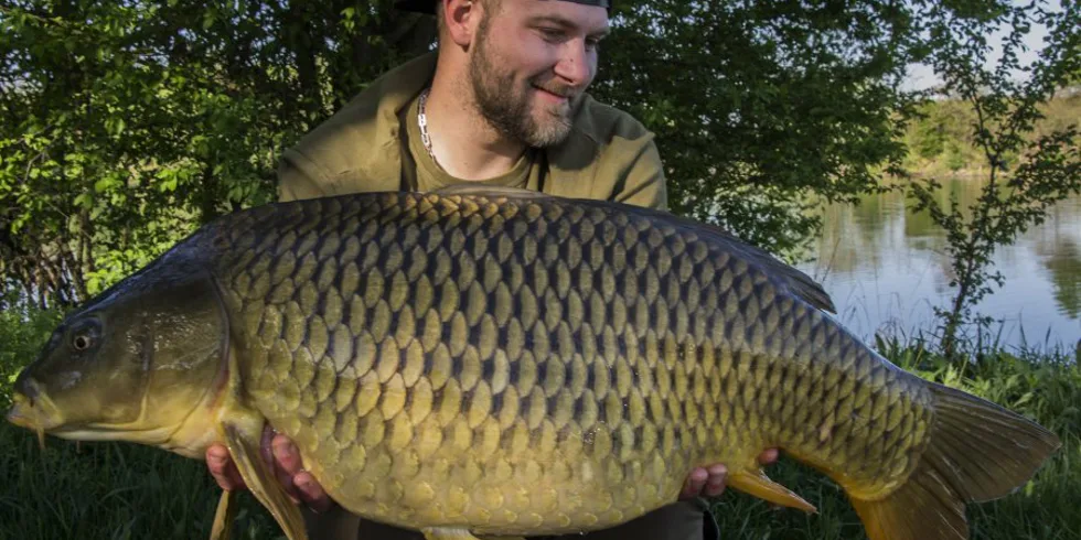 Štyri dni s Giganticou