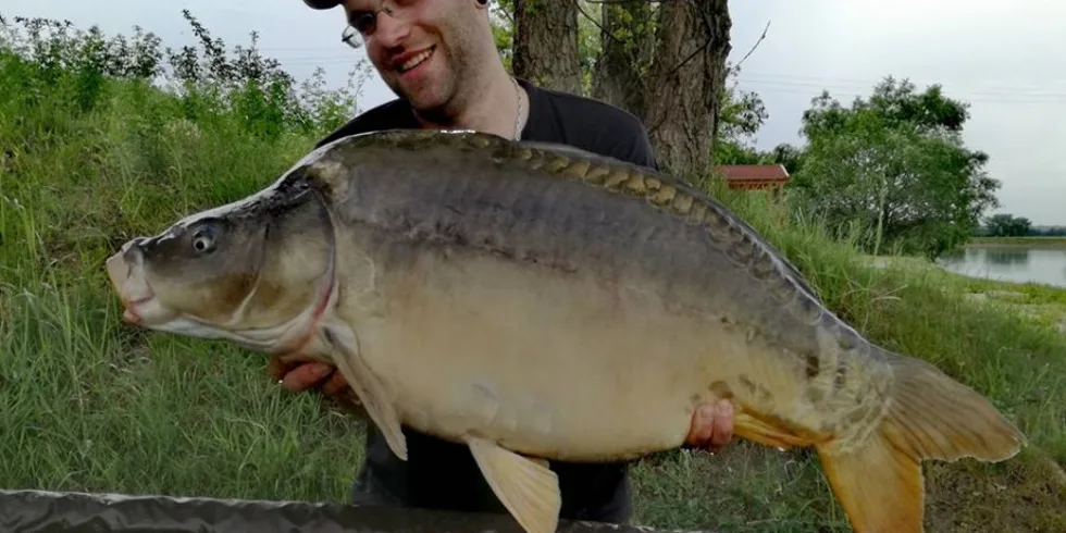 Prvých 24 hodín pri vode