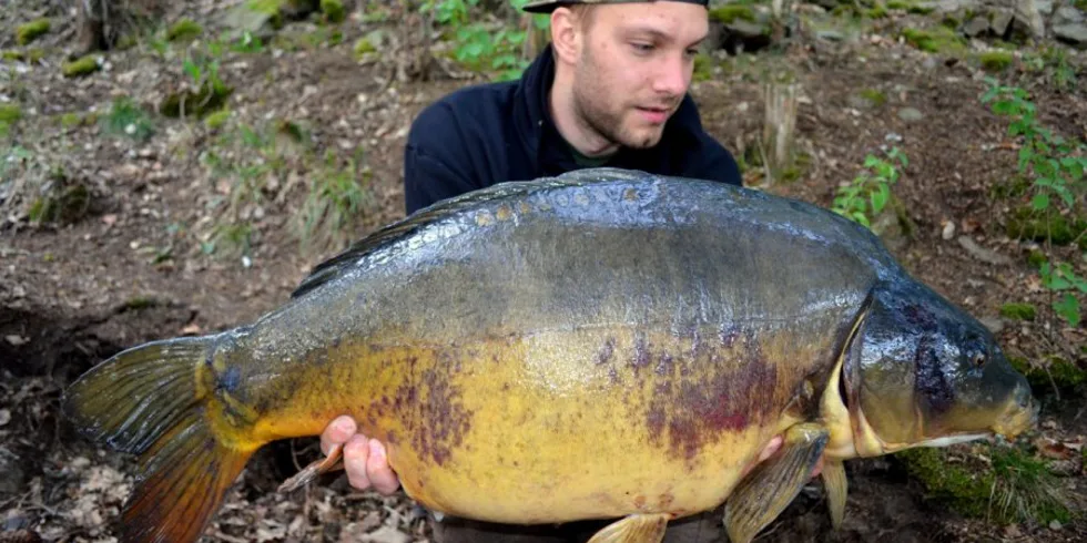 Buchťák opět v akci