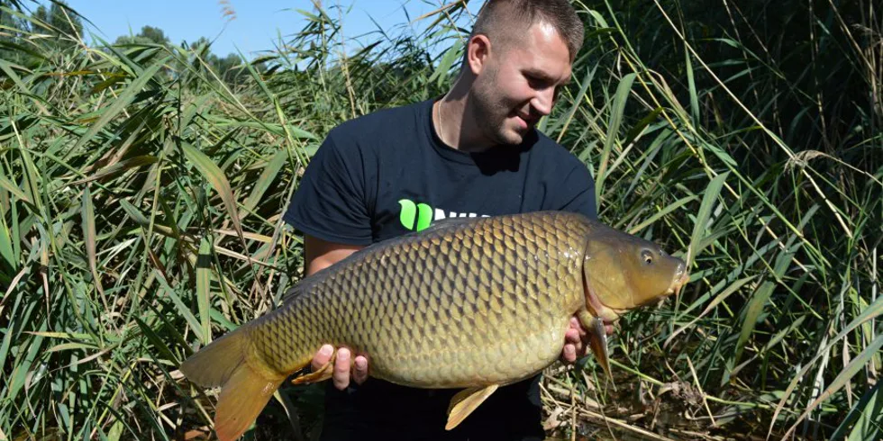 Pokladny jižní Moravy