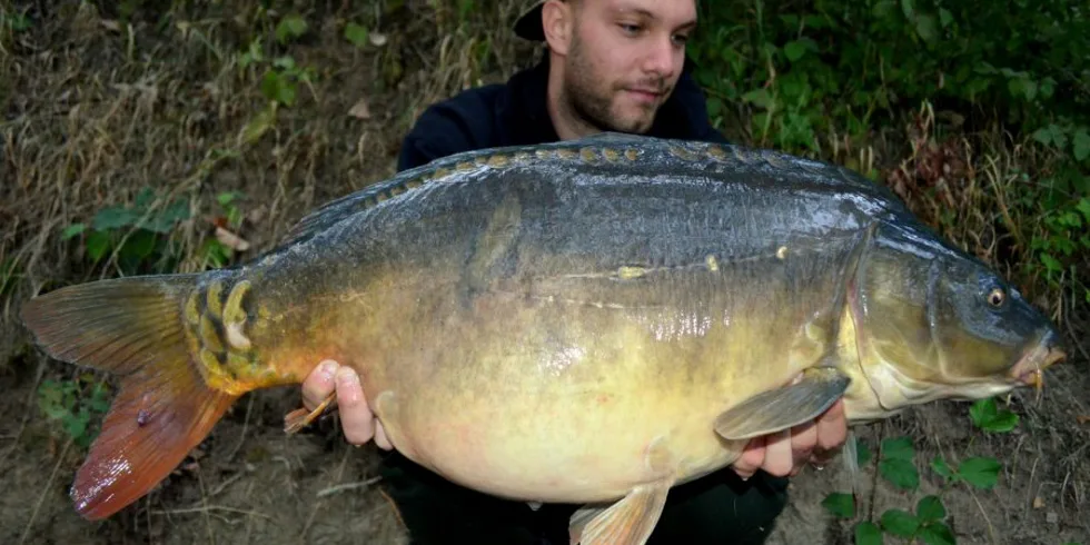 Buchťák opět řádil