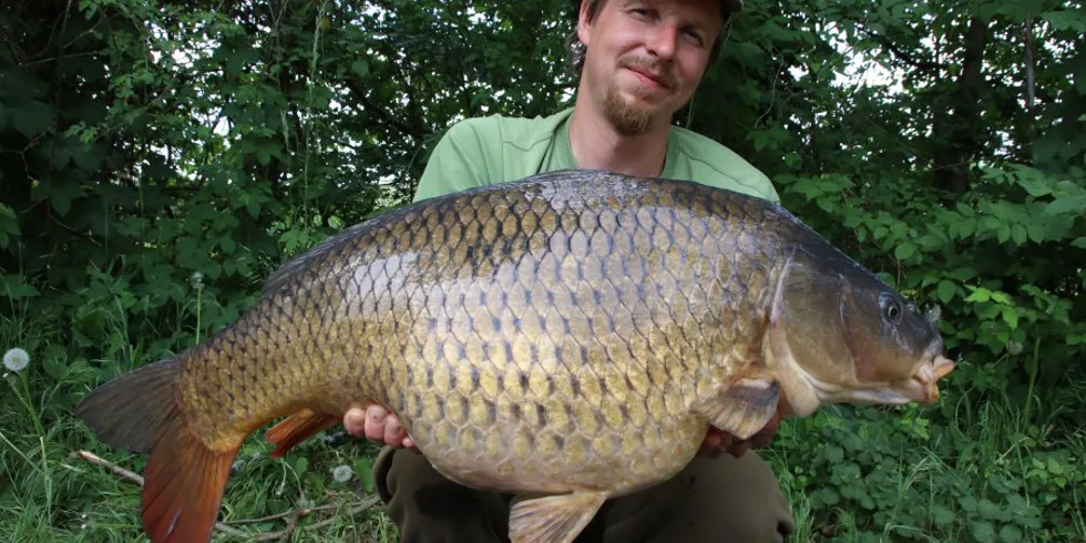 Parádní série pokračuje