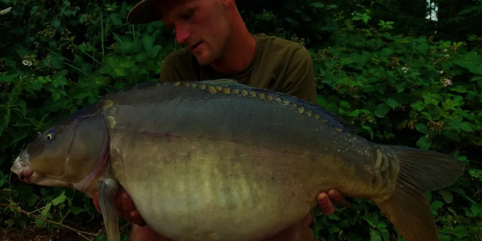 V týdnu - část 1.