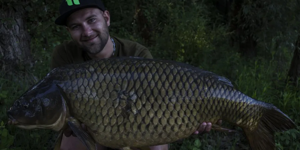 Rozlúčka s Angry plum