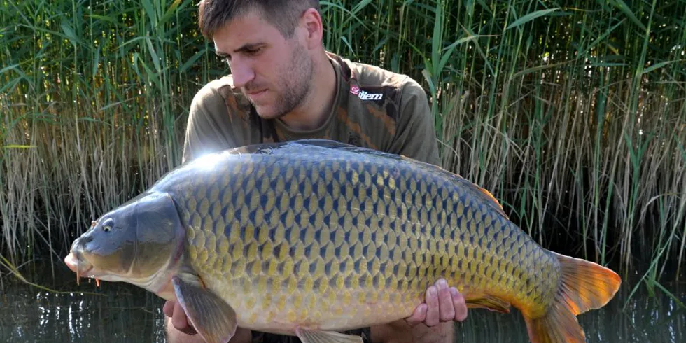 Náročných päť dní