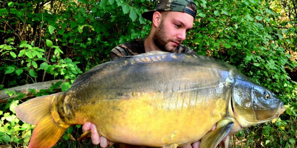 Buchťákovo pokračování