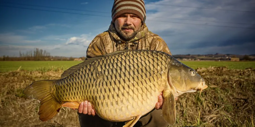 Druhý týden v prosinci
