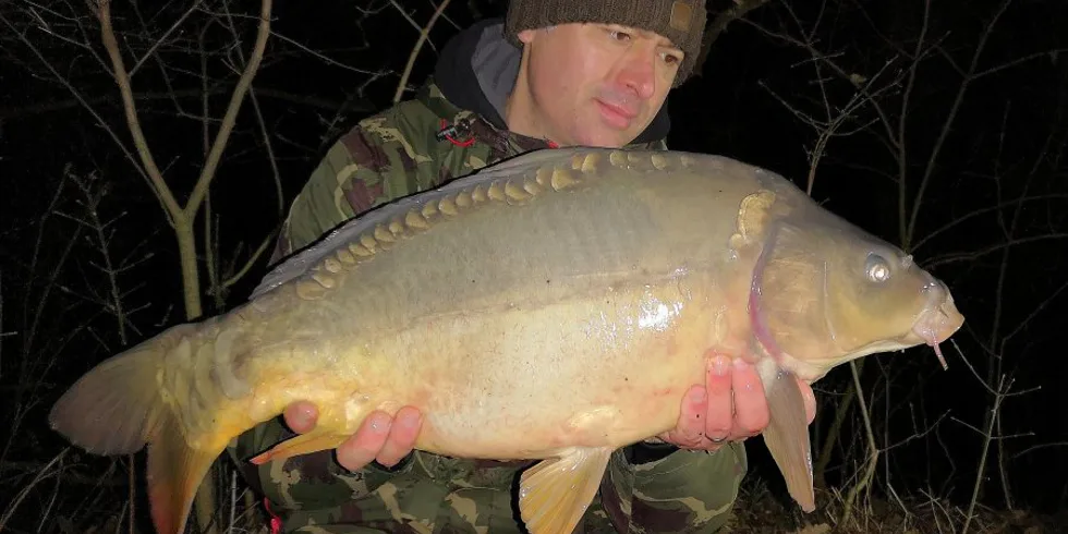 Prosincové vycházky