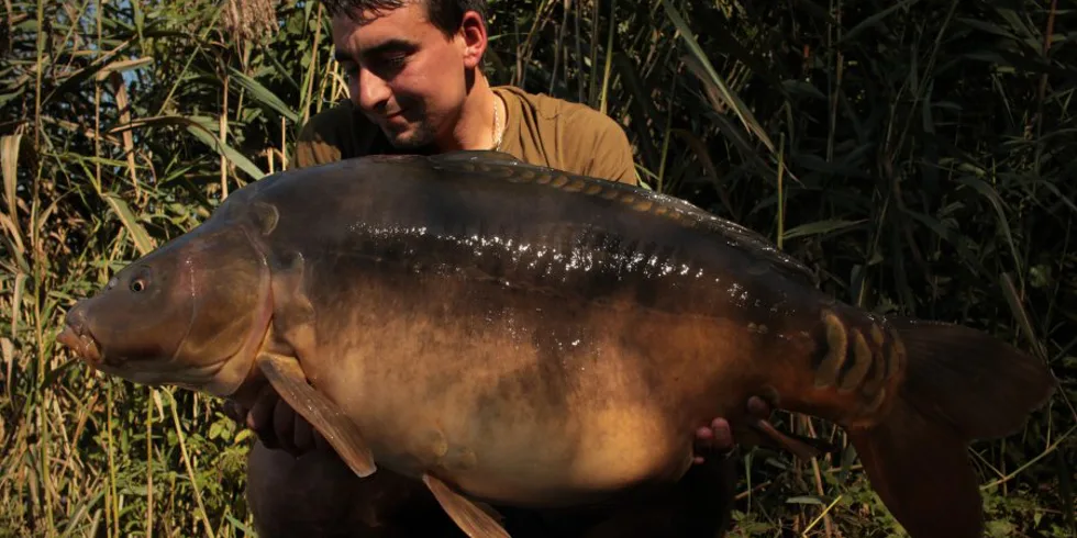 První manželská výprava část 2