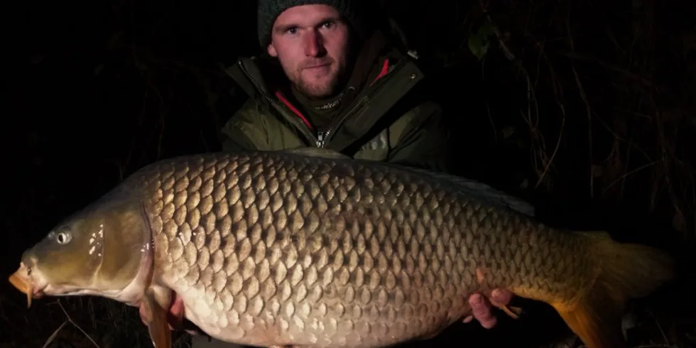 Labská série záběrů - listopad 2018