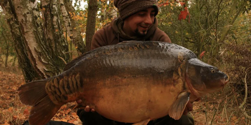 Podzimní pískovna, část 1.