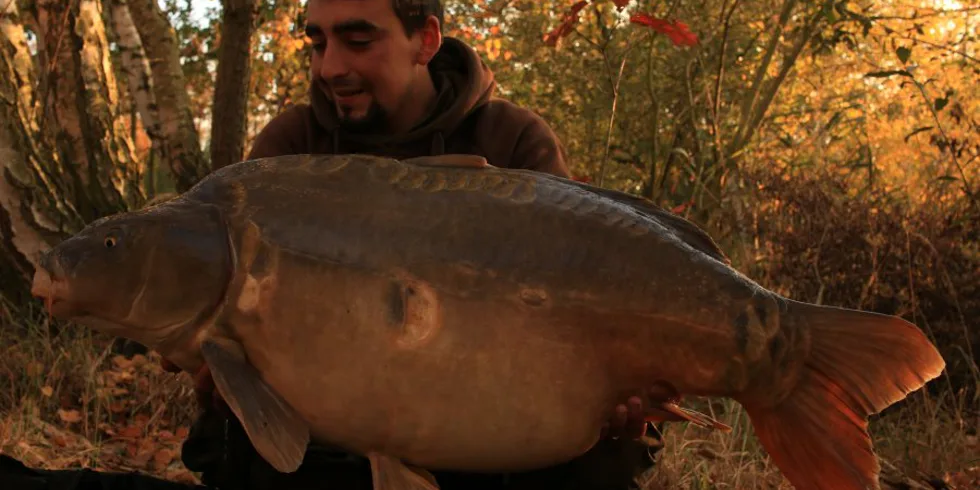 Podzimní pískovna, část 2.