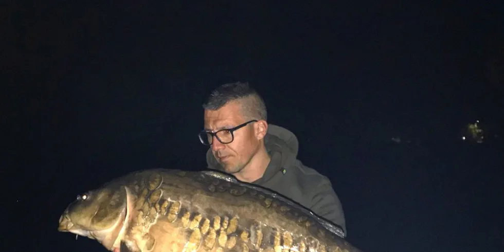 Kráska z centra mesta