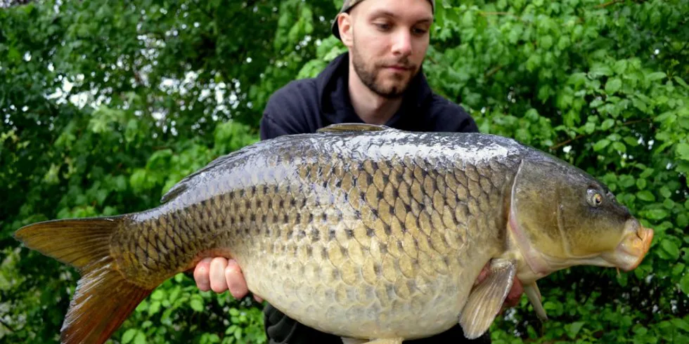 Labe před třením 1