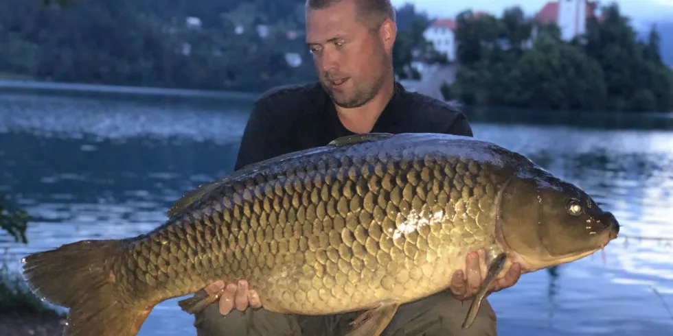 Konec tření na Bledu