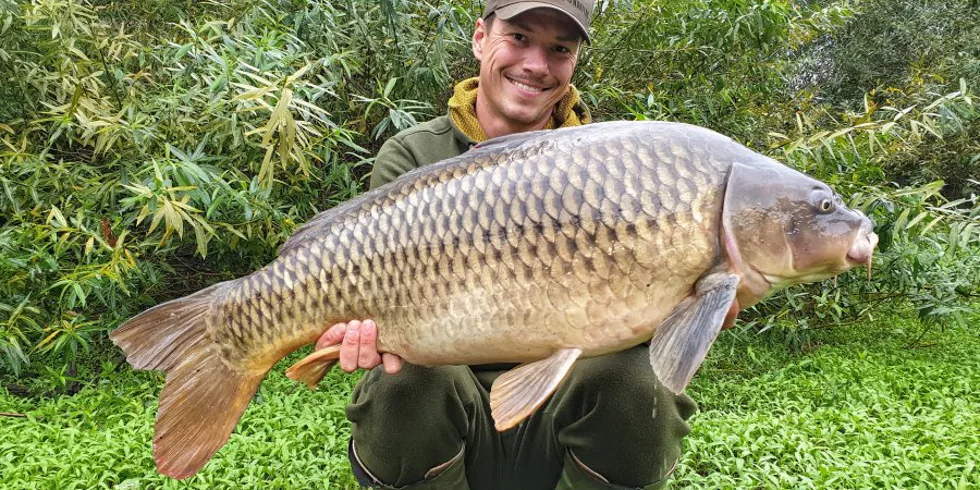 Narozeninová oslava