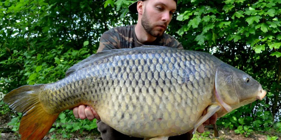 Labe před třením 2