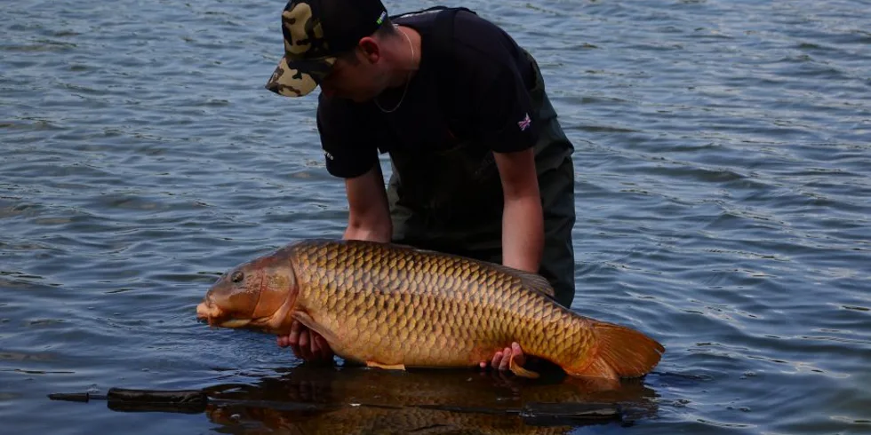 Narozeninová tradice