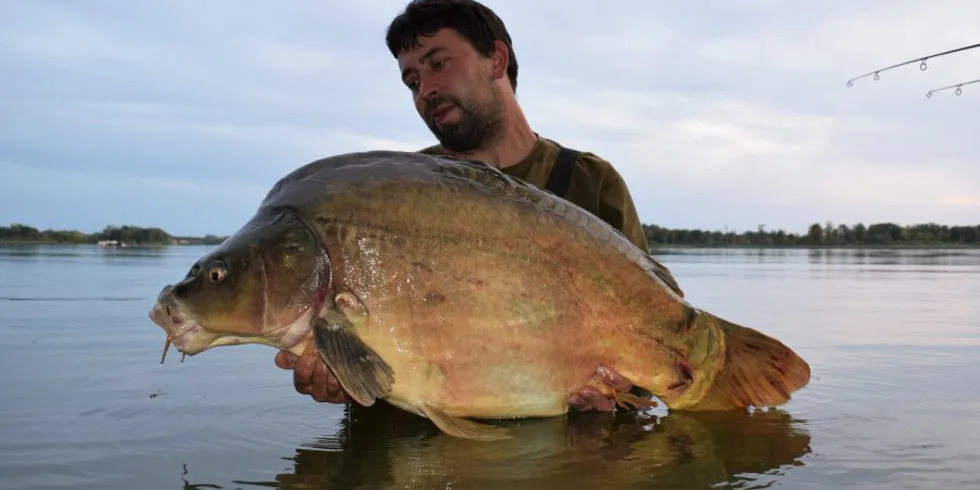 Nařízená celozávodní dovolená