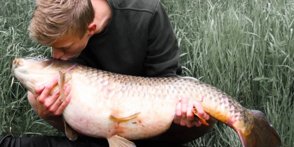 Ve zkouškovém období