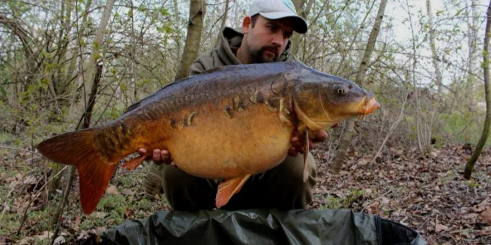 Pulďa na začátku sezony