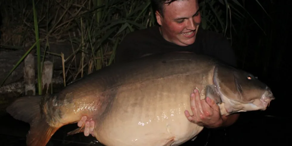 První polovina roku 2019