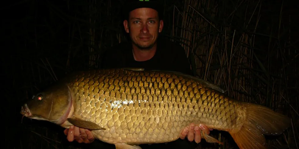 Od soumraku do úsvitu