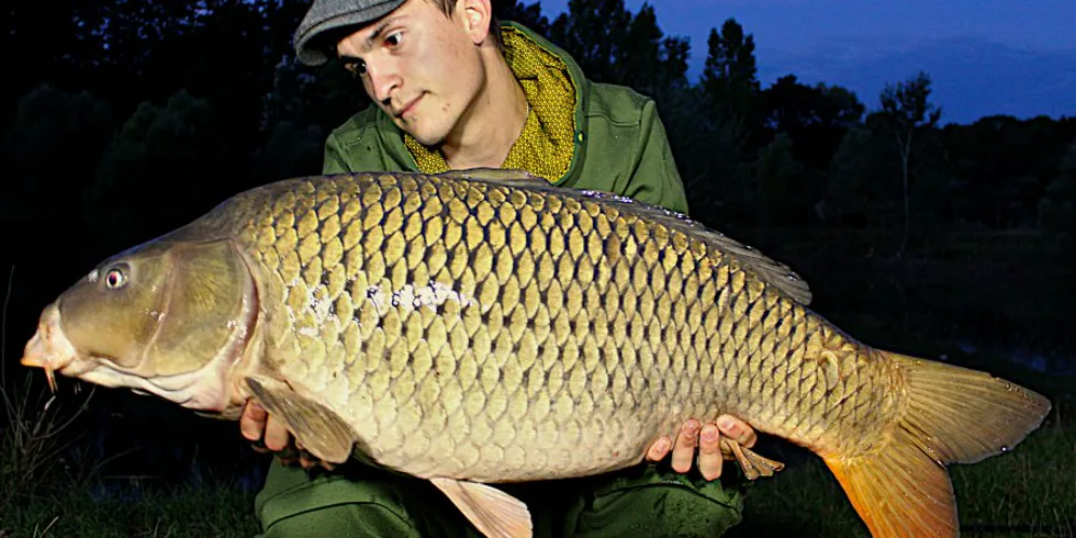 Testovanie Ronie Rigov